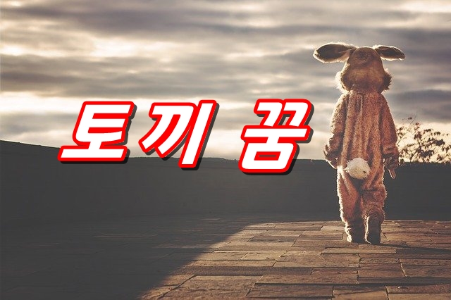  토끼의 꿈 상황별 꿈해몽