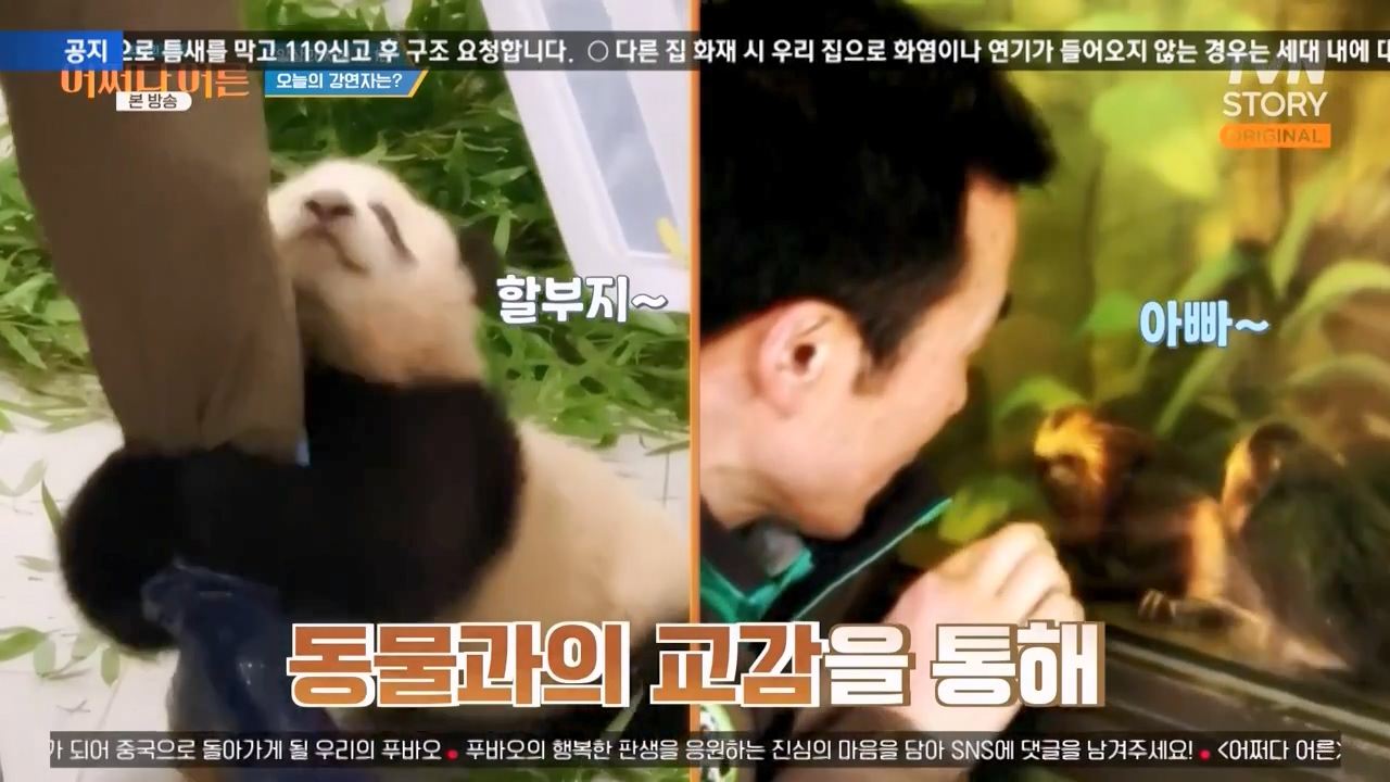 어쩌다 어른.E41.240131p-NEXT.mp4_20240201_200212.326.jpg
