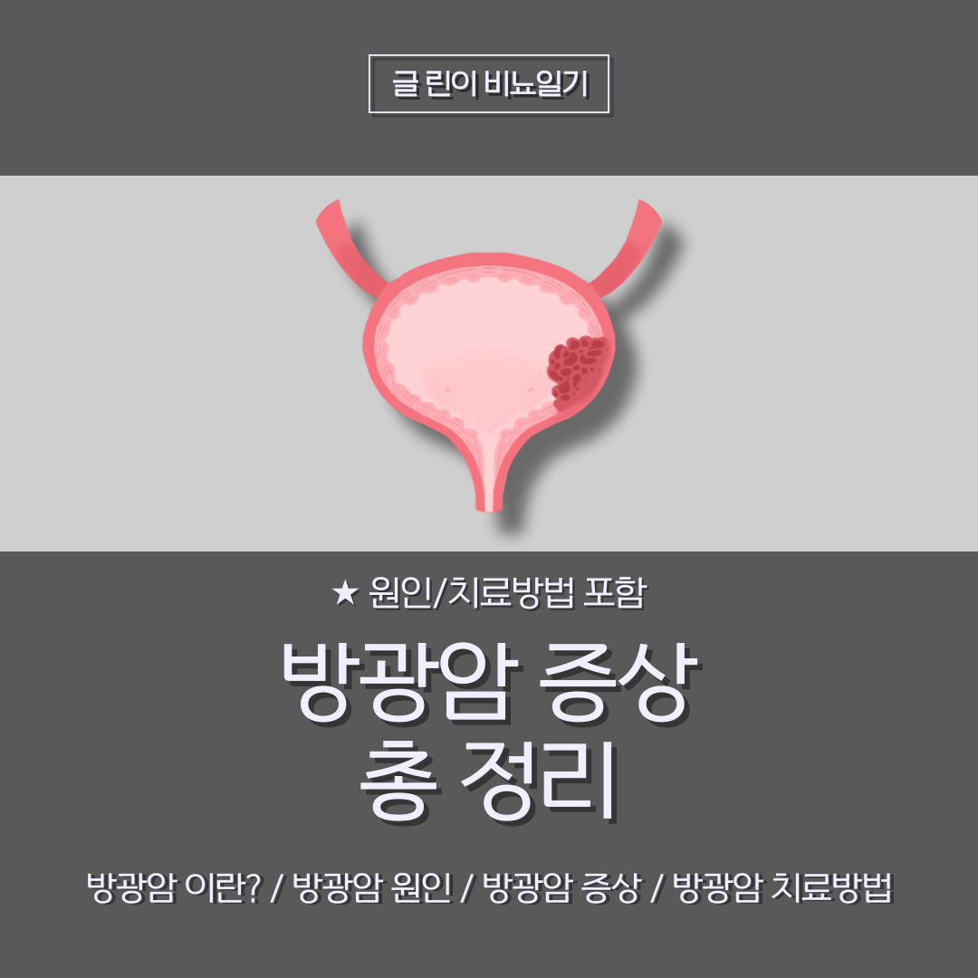  방광암 증상 총 정리