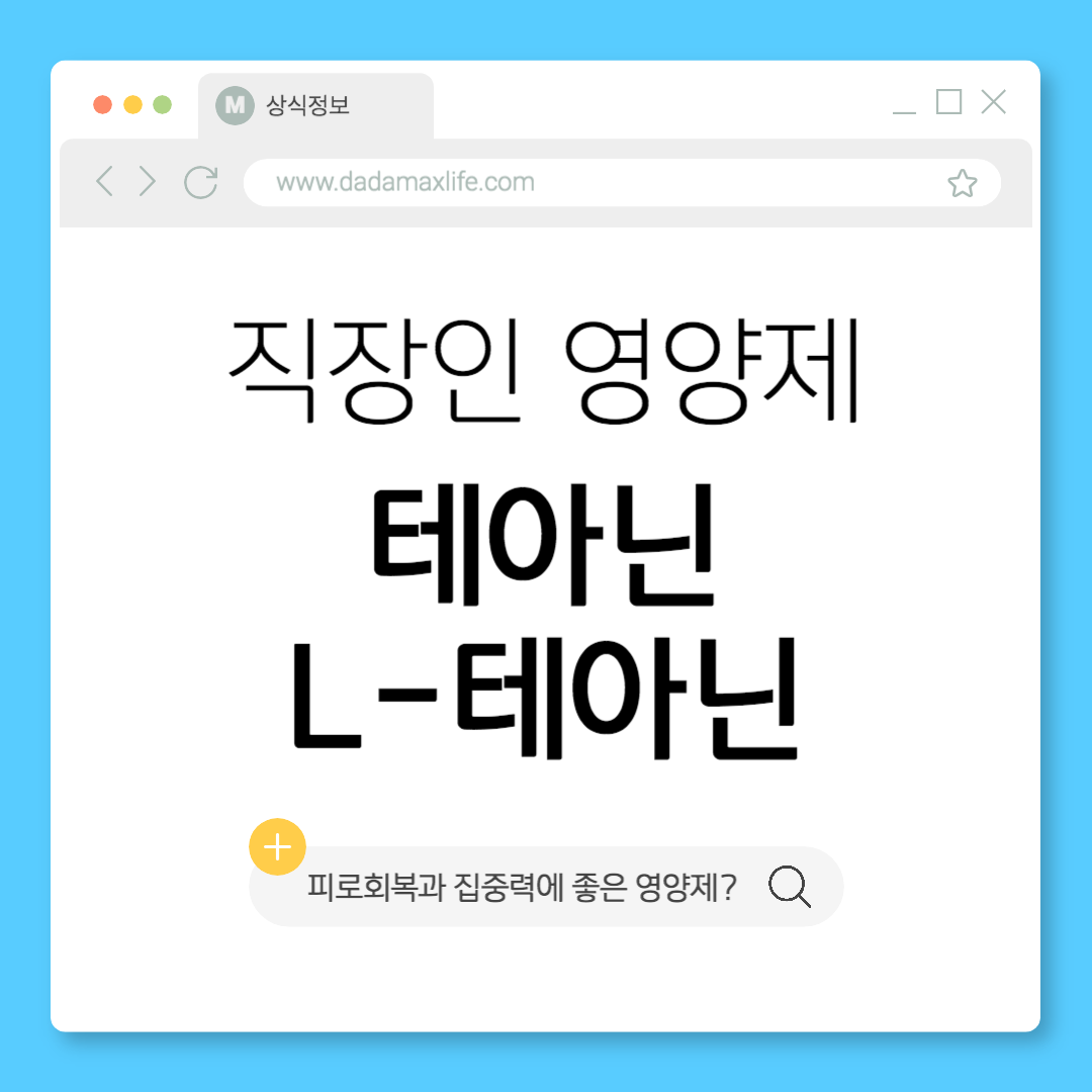 테아닌 직장인들 필수 영양제