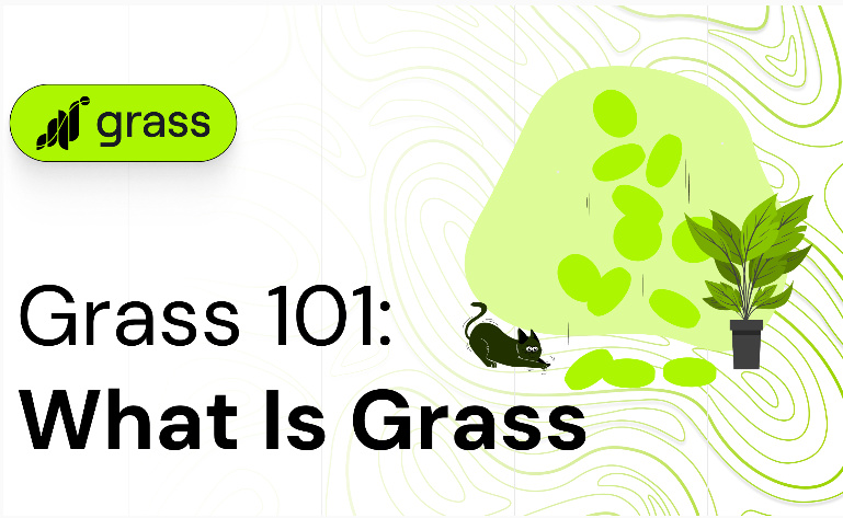 What Is Grass Coin?