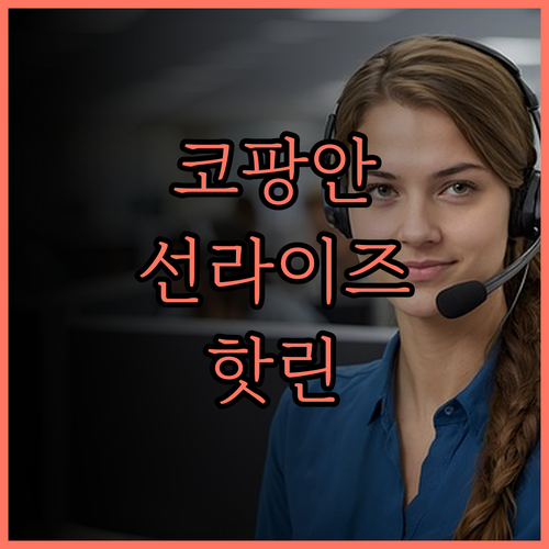 선라이즈 리조트 코팡안 숙박 후기 핫