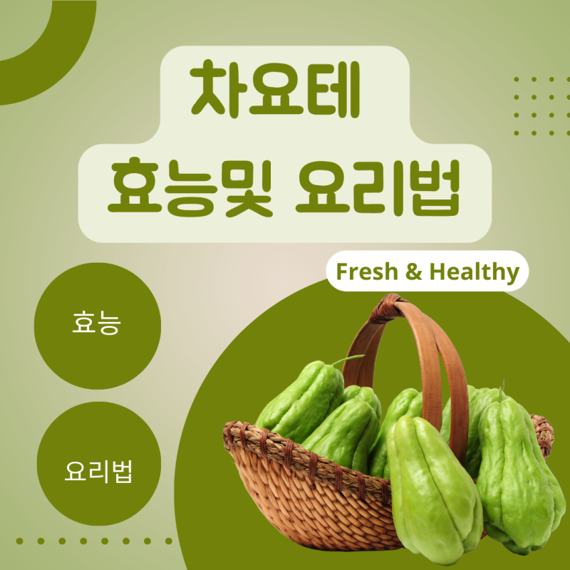 차요테 효능 부작용 영양성분 요리법 보관방법 재배방법 가격