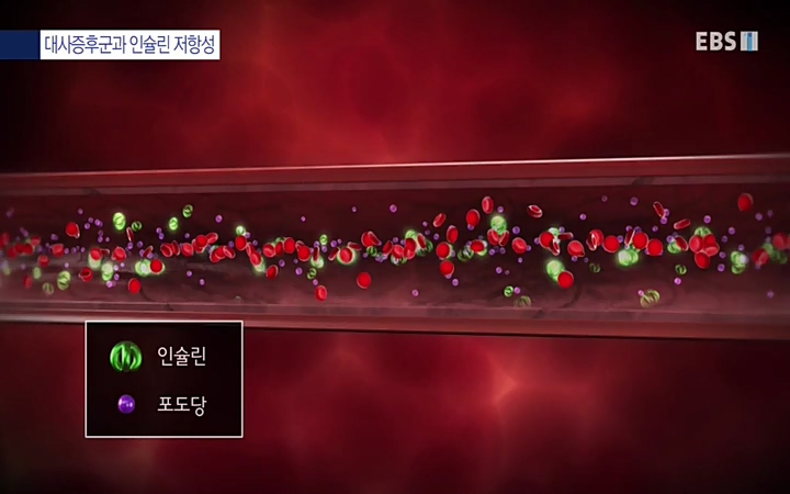 명의_ 제 764회 〈지방간의 경고 1부, 살찐 간이 위험하다〉_ 220429.avi_20220503_193635.963.jpg