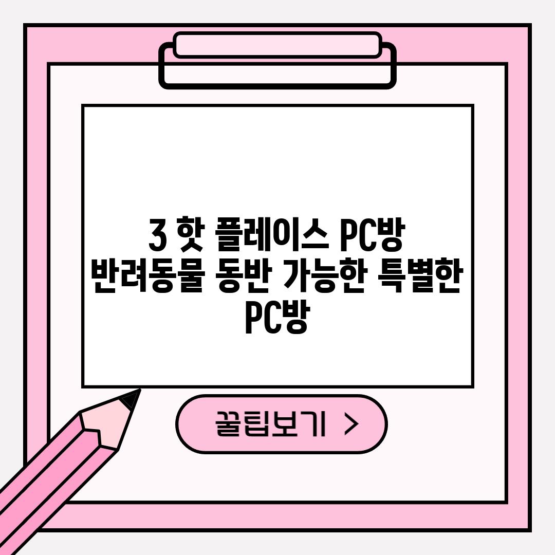 3. 핫 플레이스 PC방: 반려동물 동반 가능한 특별한 PC방