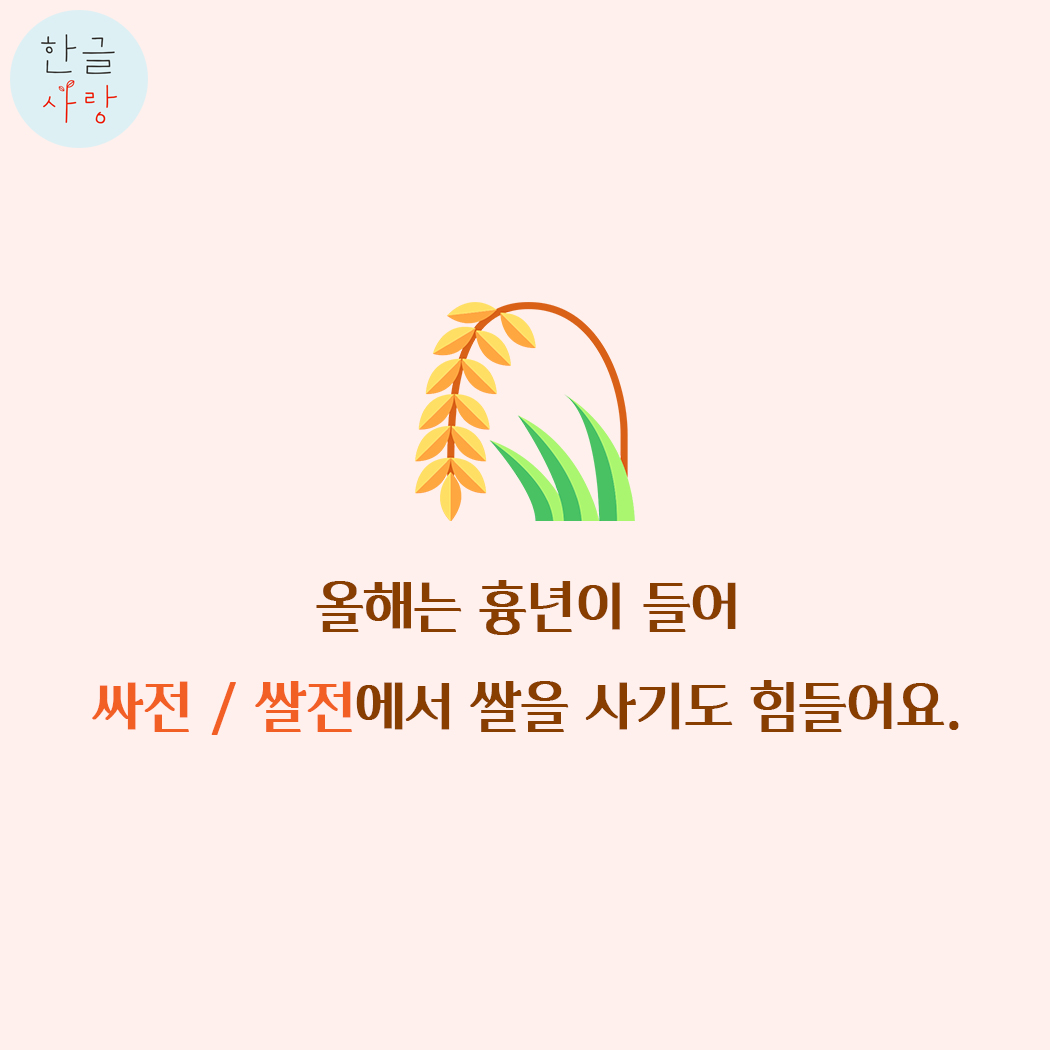  올해는 흉년이 들어 싸전 / 쌀전에서 쌀을 사기도 힘들어요.