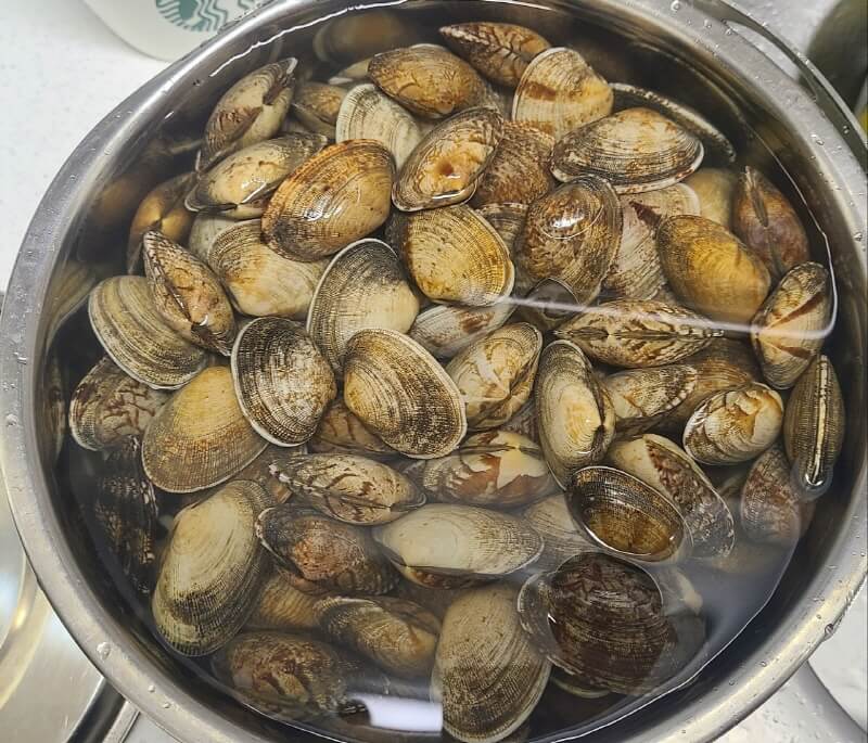  바지락 해감 방법 및 손질법 보관법 총정리
