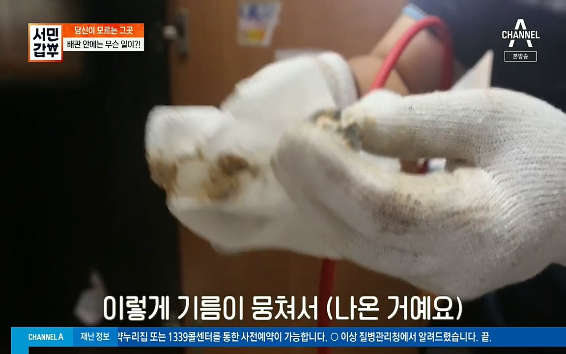 서민갑부.E398.220828p.H264-F1RST.mp4_20220828_133140.118.jpg