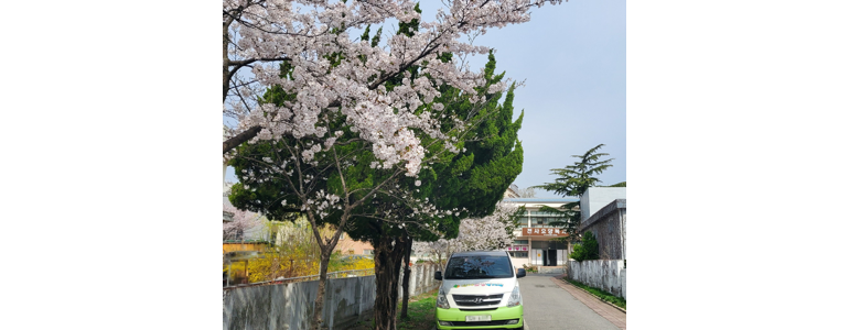 고성군 요양원