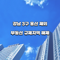  강남 3구 용산 빼고, 부동산규제 다 푼다