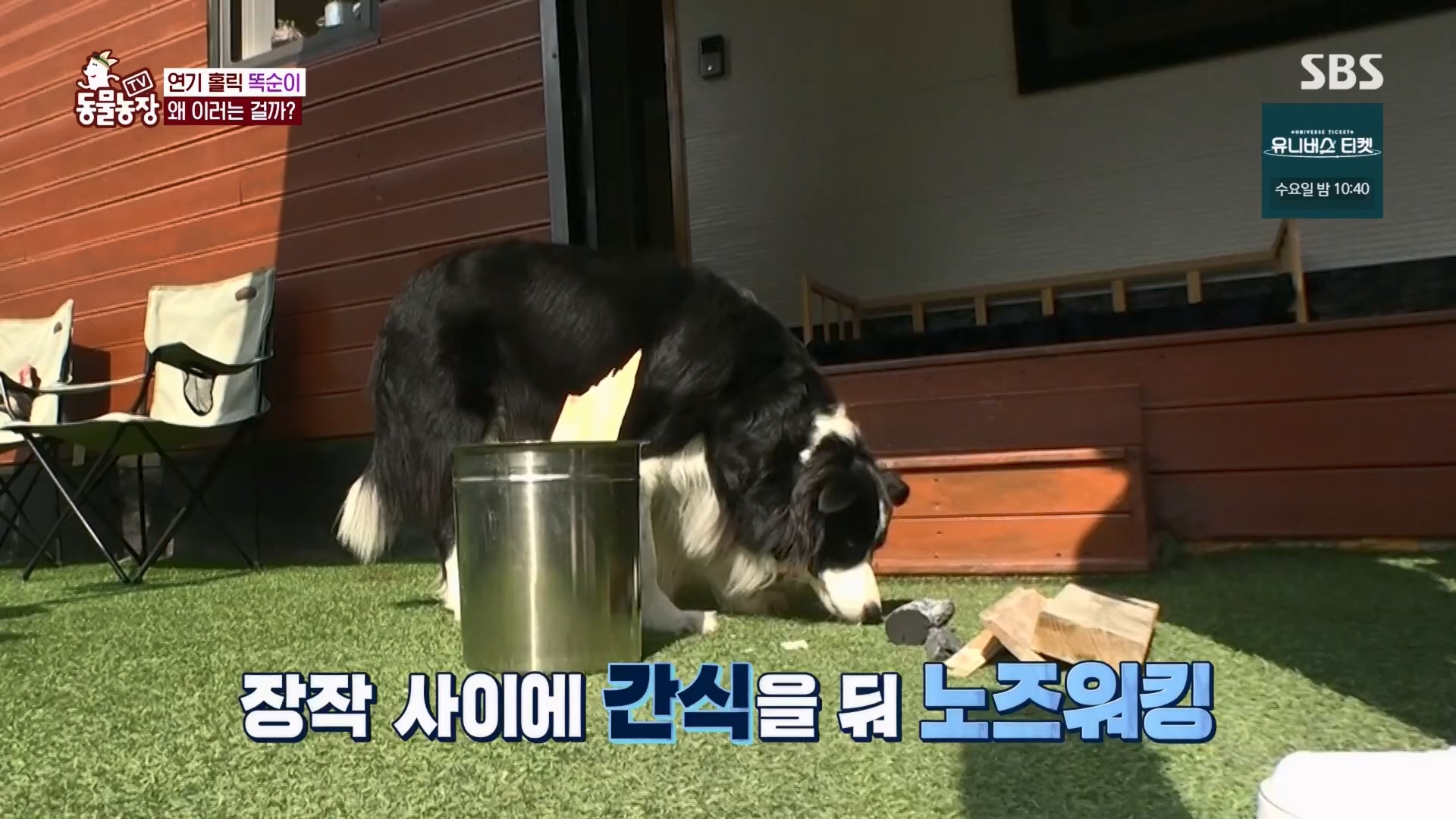 TV 동물농장.E1148.231203p.H264-F1RST.mp4_20231203_181432.741.jpg
