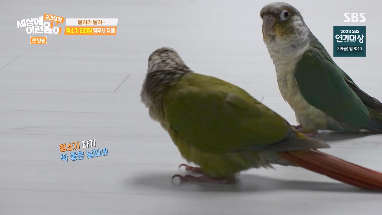 순간포착 세상에 이런일이.E1256.231217p-NEXT.mp4_20231217_175007.449.jpg