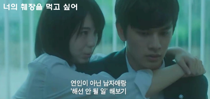 영화 너의 췌장을 먹고 싶어