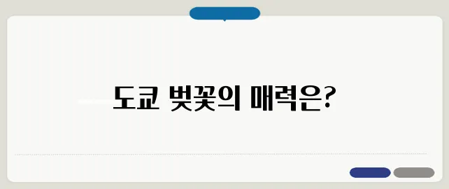 도쿄 벚꽃축제 일정 & 벚꽃 명소 베스트 5
