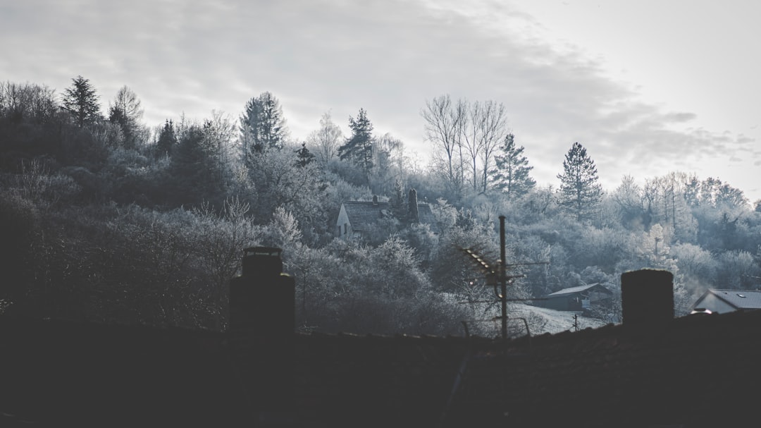 freezing