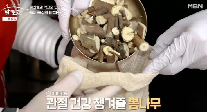뽕나무
