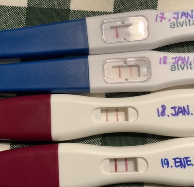 임신일기 (1) 엄마가 되는 법