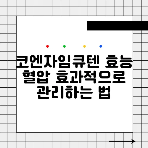 코엔자임큐텐 효능 혈압 효과적으로 관리하는 법