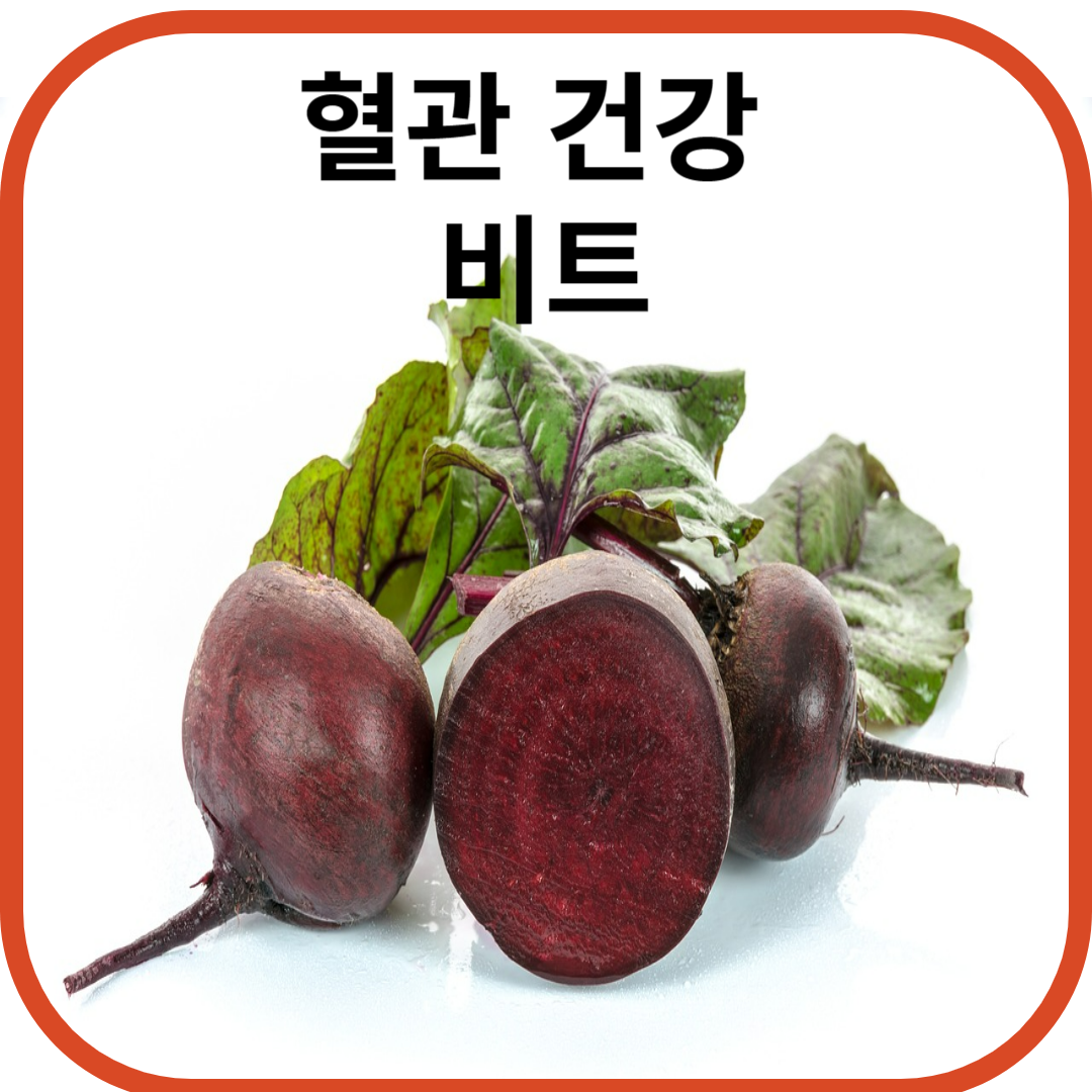  땅속의 붉은 피 '비트' 효능 고혈압, 하지정맥류, 협심증, 노화 예방, 먹는 방법 및 부작용.