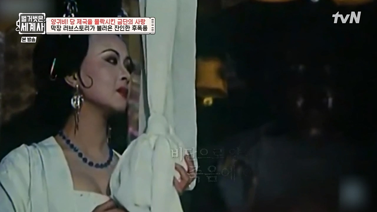 벌거벗은 세계사.E83.230125p-NEXT.mp4_20230303_204851.430.jpg