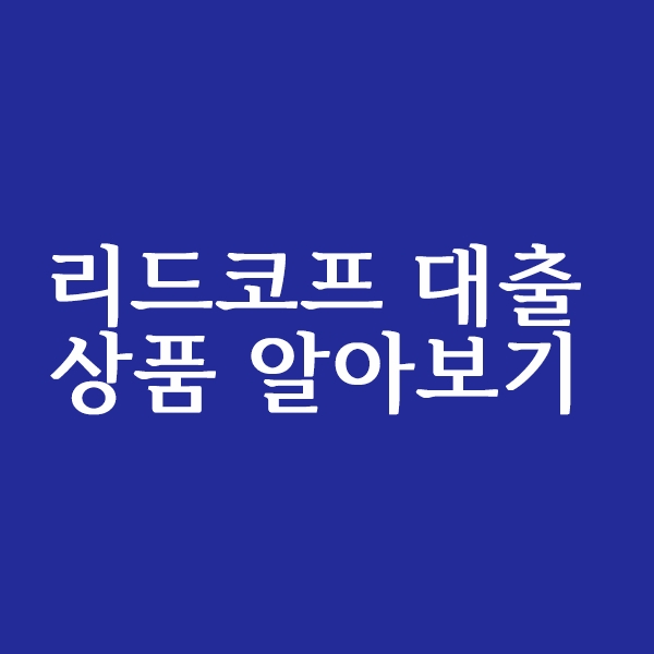  리드코프 대출 상품 알아보기
