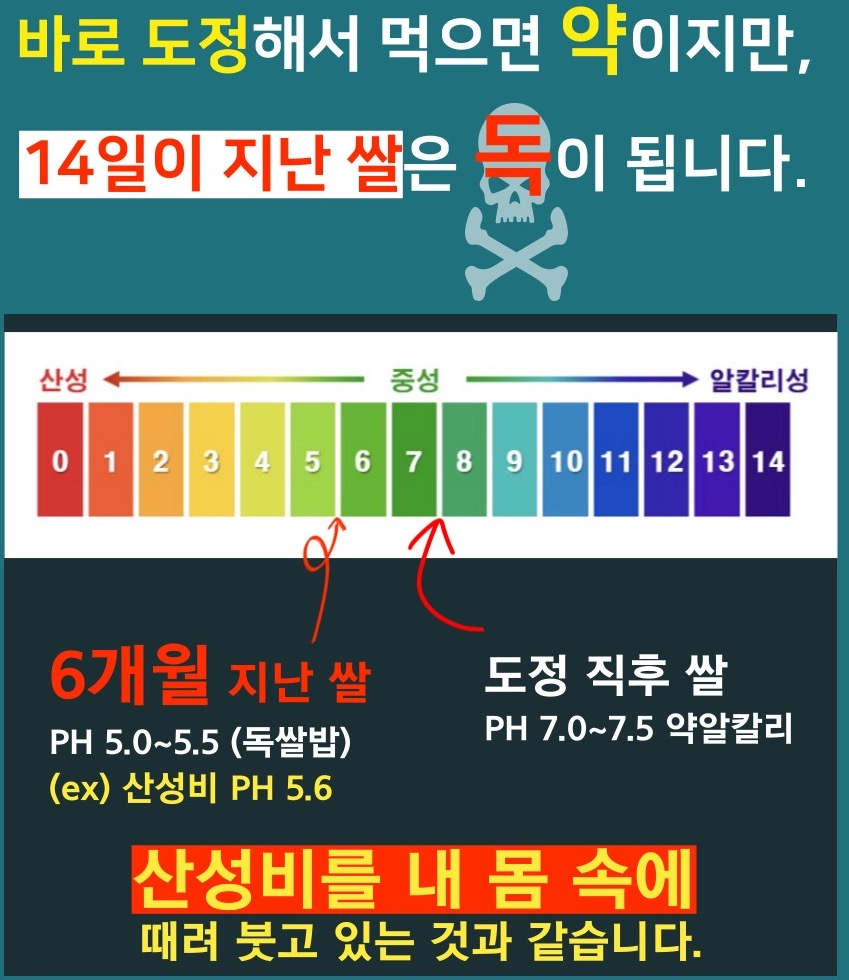 쌀의 유통기한 시간에 따른 산성화