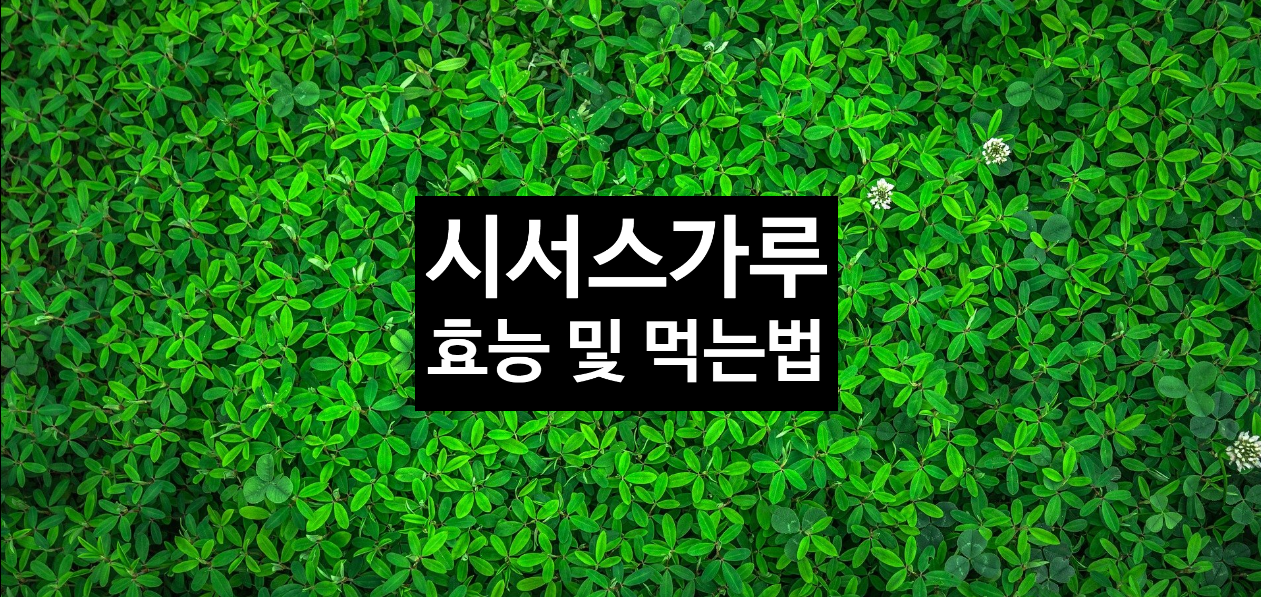  시서스가루 효능과 먹는법 알아보고드세요