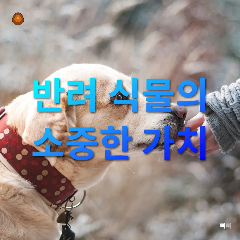 반려식물_1