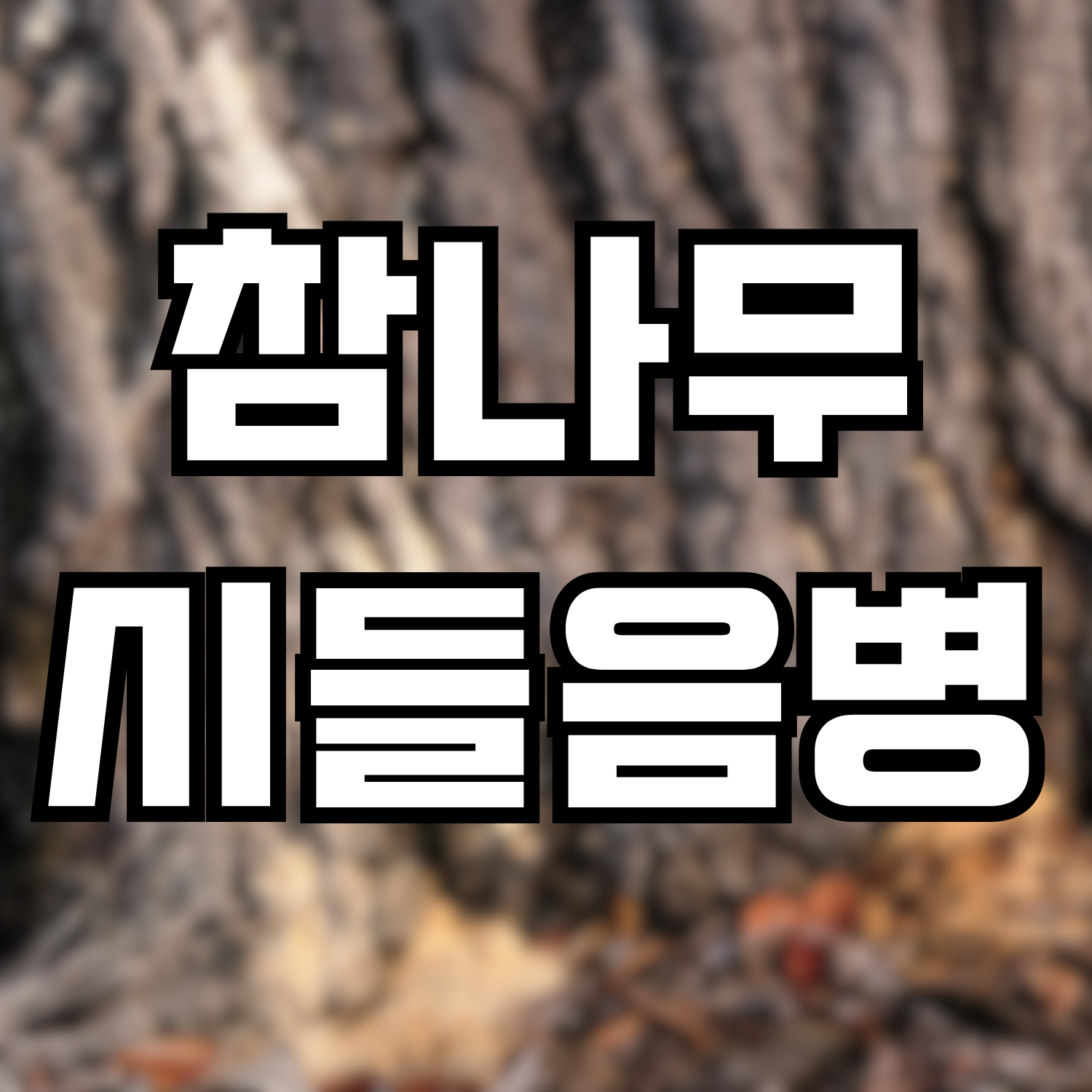  참나무시들음병