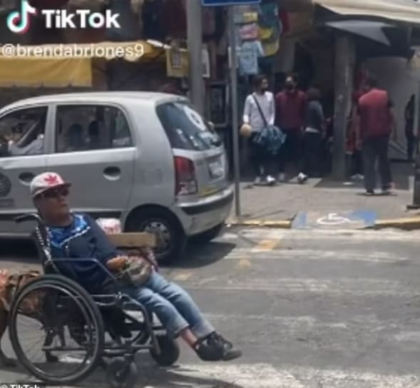 가슴뭉클한 주인의 휠체어를 밀어주는 견공 VIDEO: Heartwarming moment dog pushes owner&#39;s wheelchair across street