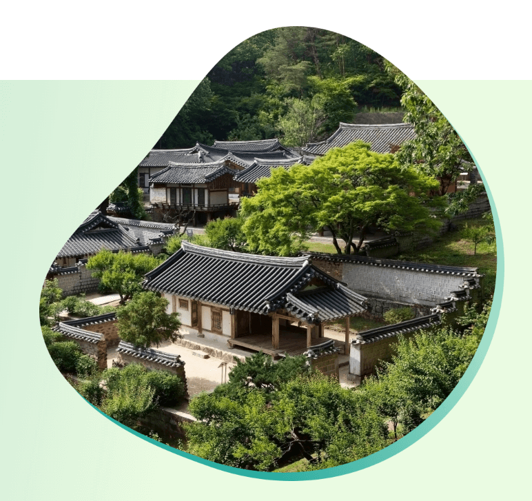 혼행족 필수! 디지털 관광주민증 발급 및 활용법