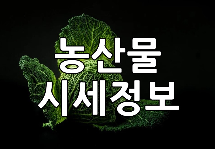 농산물 시세