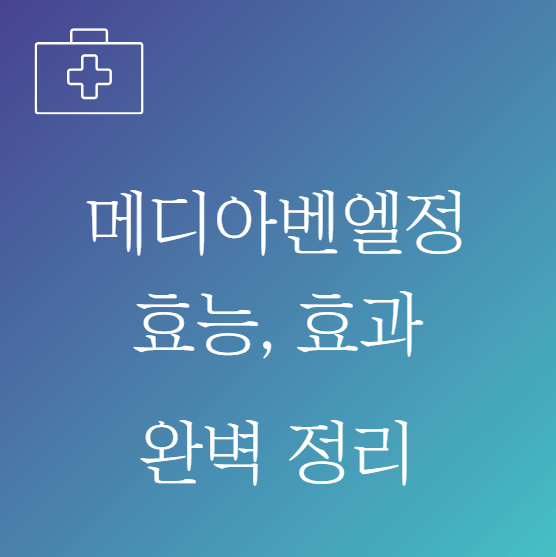 메디아벤엘정