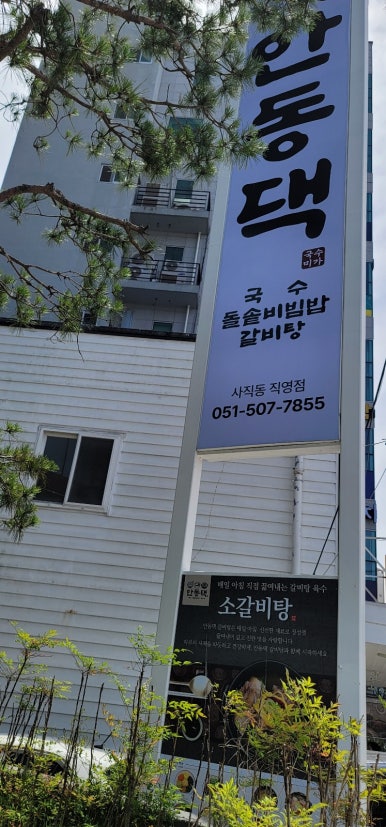 국수미가 안동댁 사직동직영점 대표 사진