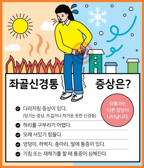 좌골신경통 증상