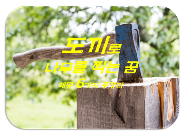  도끼꿈 해몽 6가지 총정리