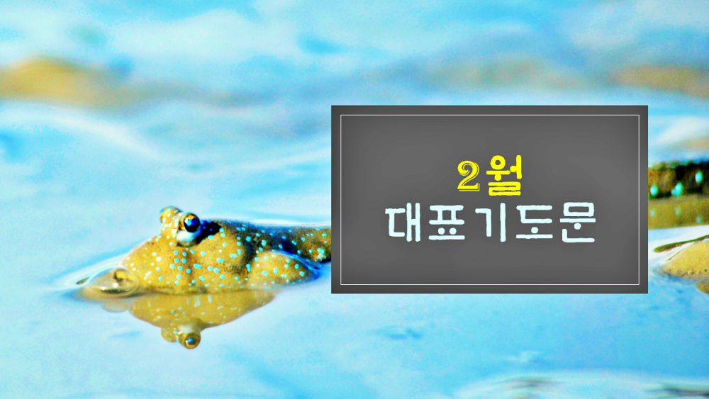  2월 대표기도문 모음