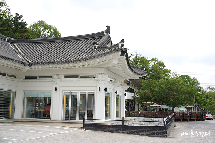 나는 경주의 유명한 레스토랑인 올리안 경주에서 파스타를 샀다. 6