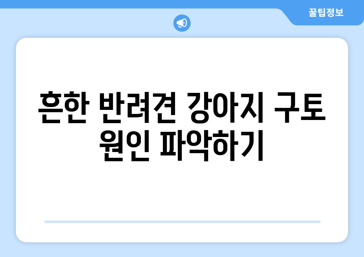 흔한 반려견 강아지 구토 원인 파악하기