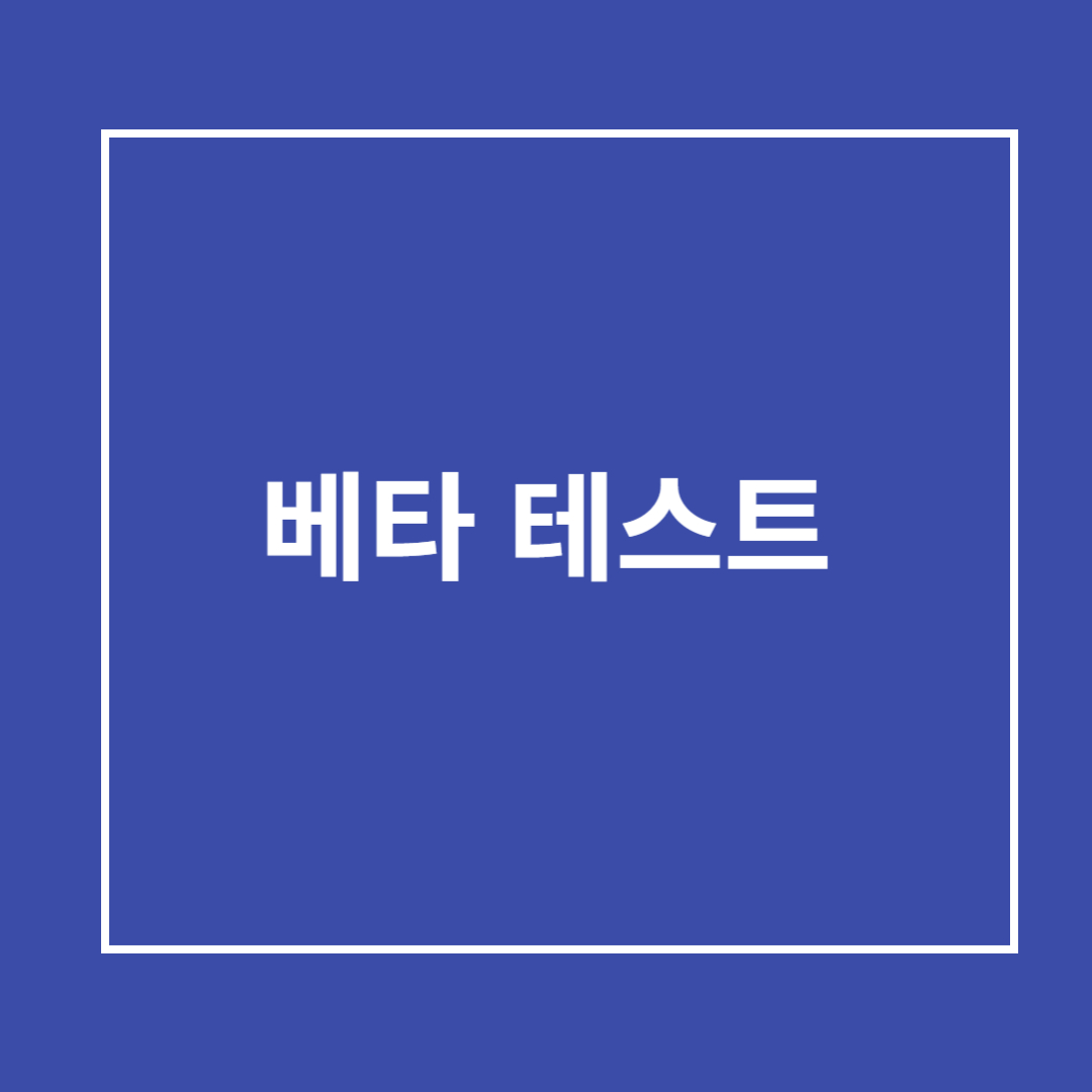베타 테스트의 의미