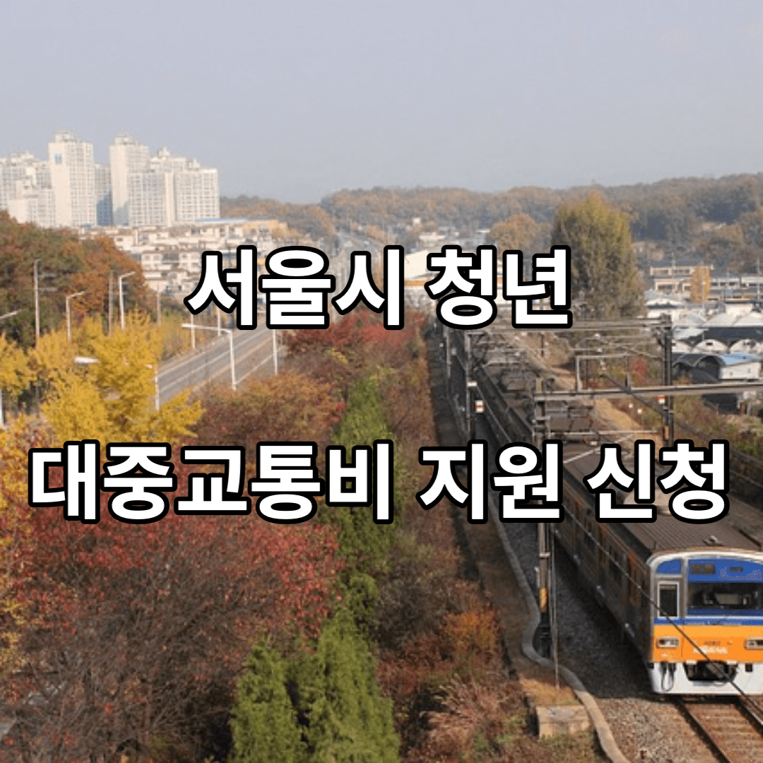 서울시-청년-대중교통비-지원