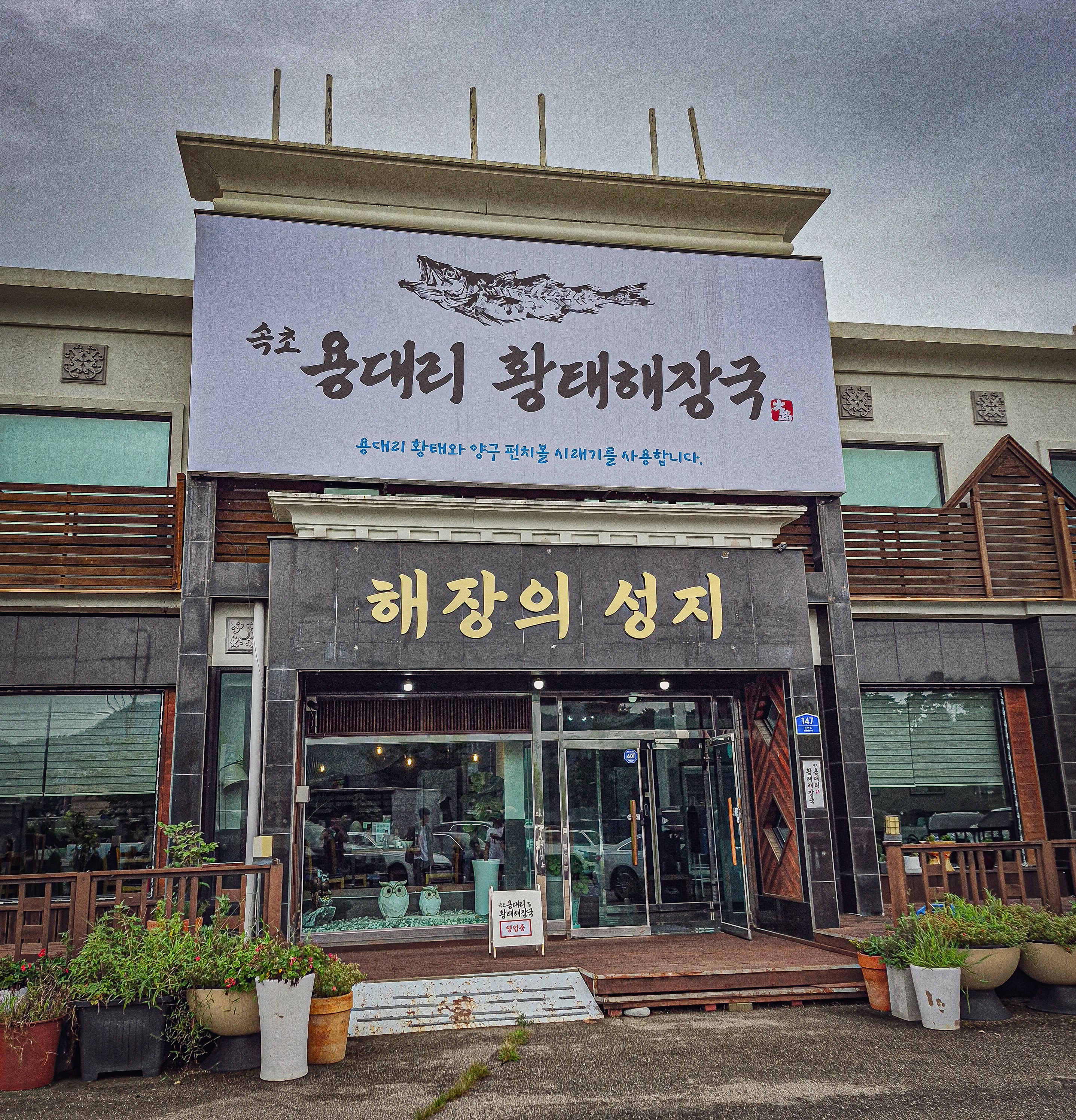 속초용대리황태해장국 11