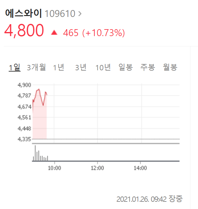  에스와이  주가 전망