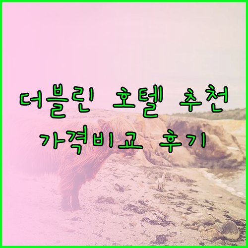 더블린 호텔 추천 5곳 가격 비교 후