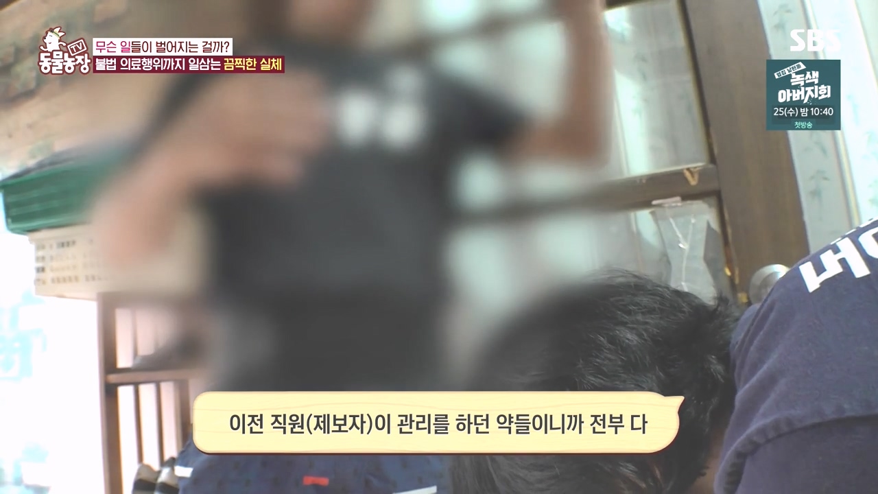 TV 동물농장.E1142.231023p-NEXT.mp4_20231022_172353.904.jpg