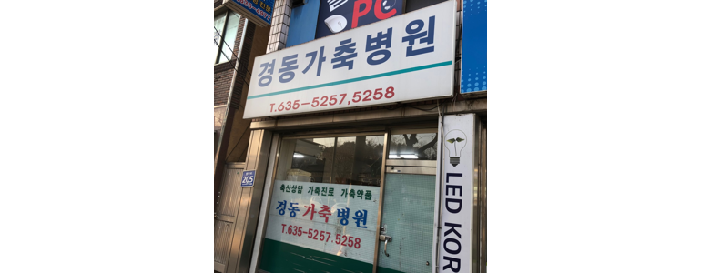 봉화군 동물병원