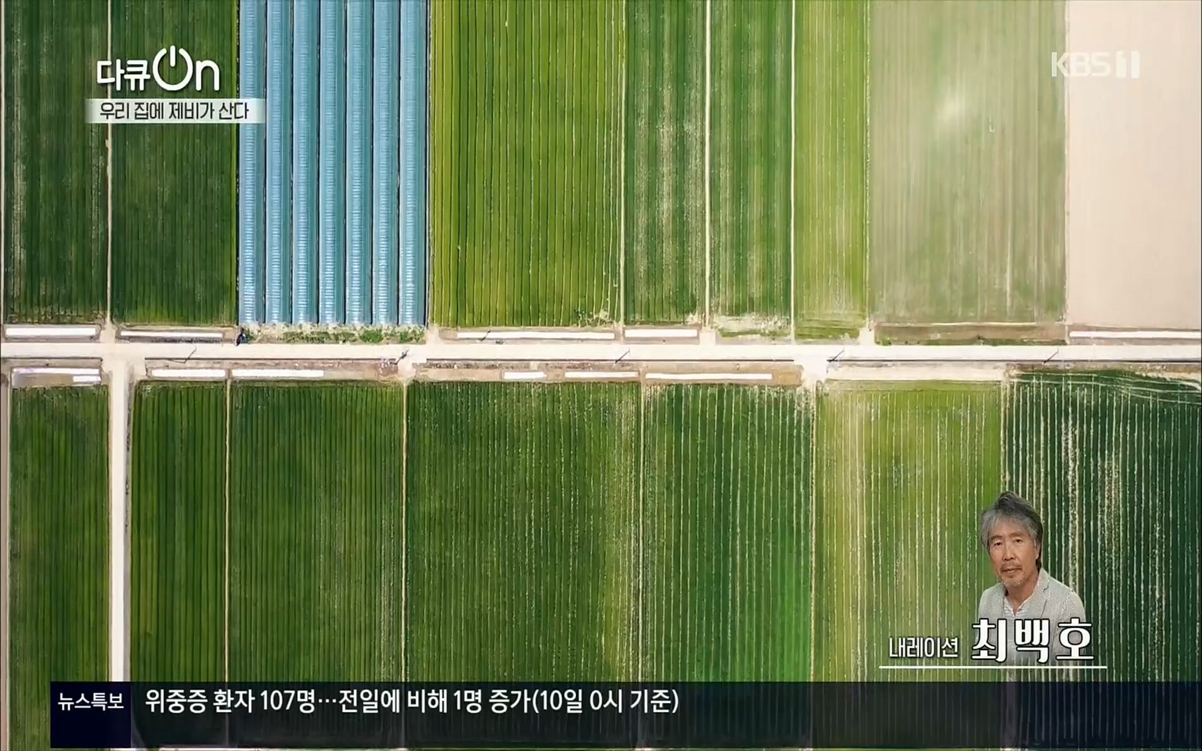 다큐 On.E143.220610p.H264-F1RST.mp4_20220613_200607.087.jpg