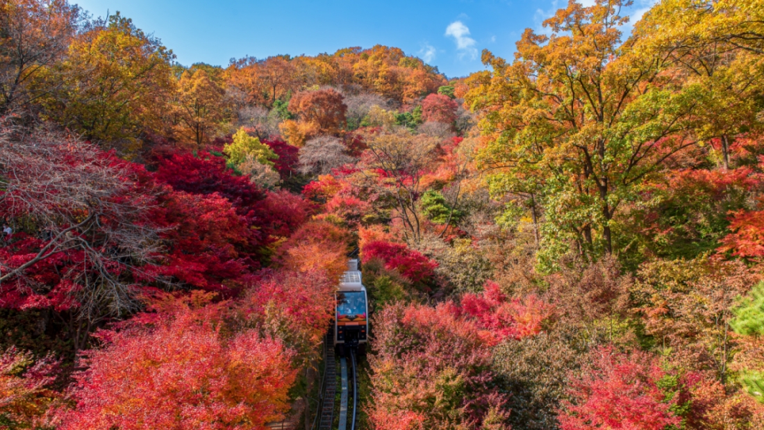 화담숲 예약방법