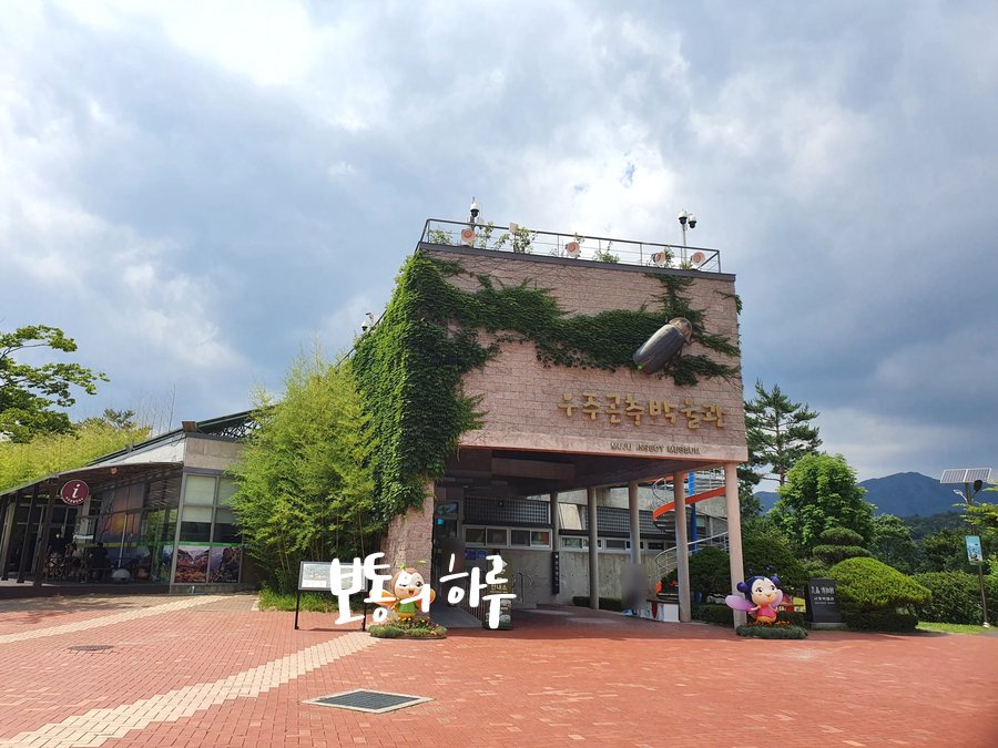 무주 반디랜드 다녀왔어요 대전 근교 가볼만한곳 25