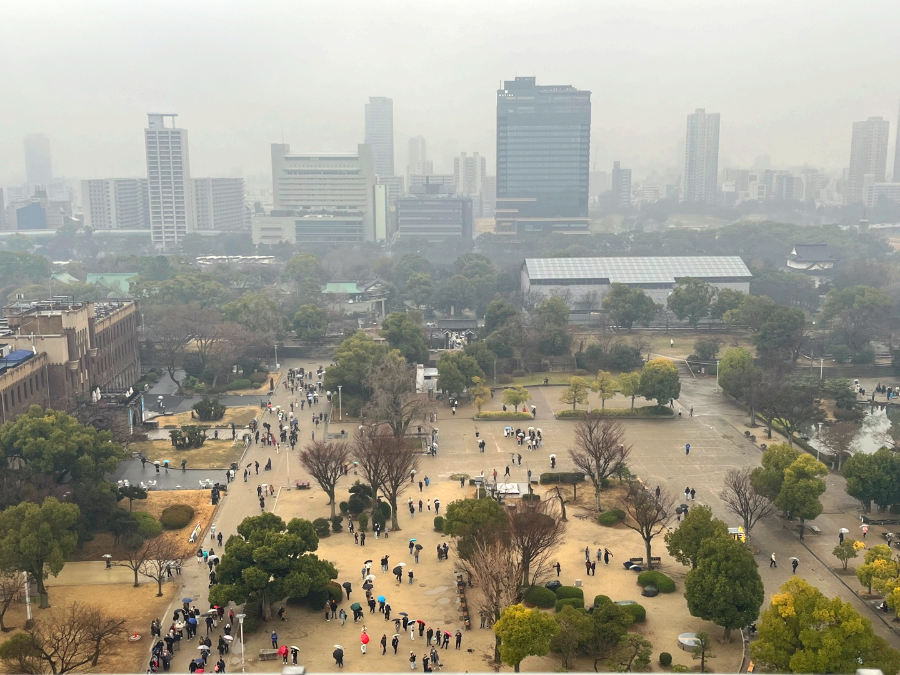 전망3
